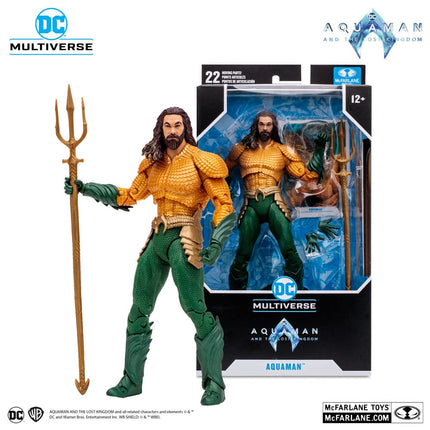 Aquaman and the Lost Kingdom DC Multiverse Action Figure 18 cm